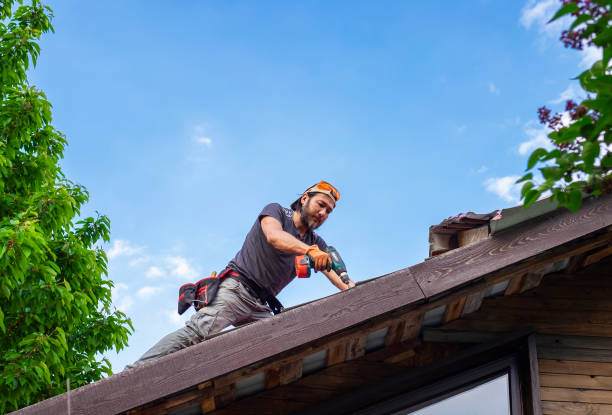 Best Metal Roofing Installation  in West Columbia, SC